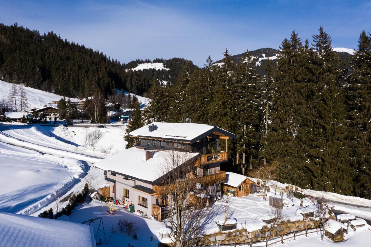 Ski In - Ski Out Panoramaferienhaus Breitmoos Neben Mittelstation Mittersill Exterior foto